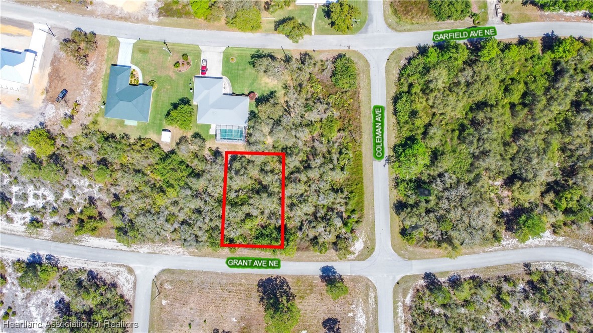 Lake Placid, Florida 33852, United States, ,Land,Active,217134 Lake Placid, Florida 33852, United States, ,Land,Active,217134