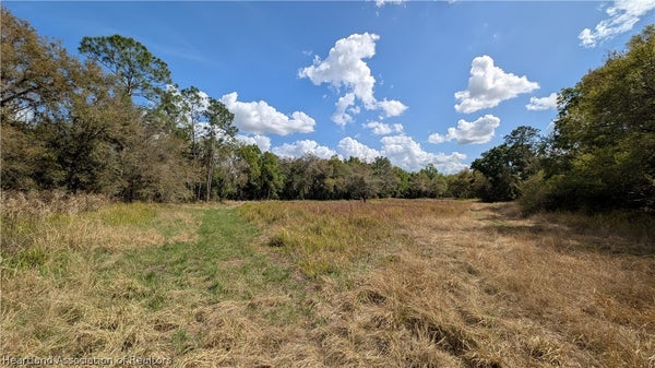 GILLETTE ROAD, ZOLFO SPRINGS, FL 33890 - Image bded26e87973043c845da0eaeff2a946/3979020262