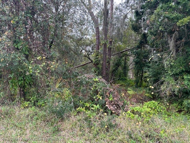 Sebring, Florida 33875, United States, ,Land,Active,14610