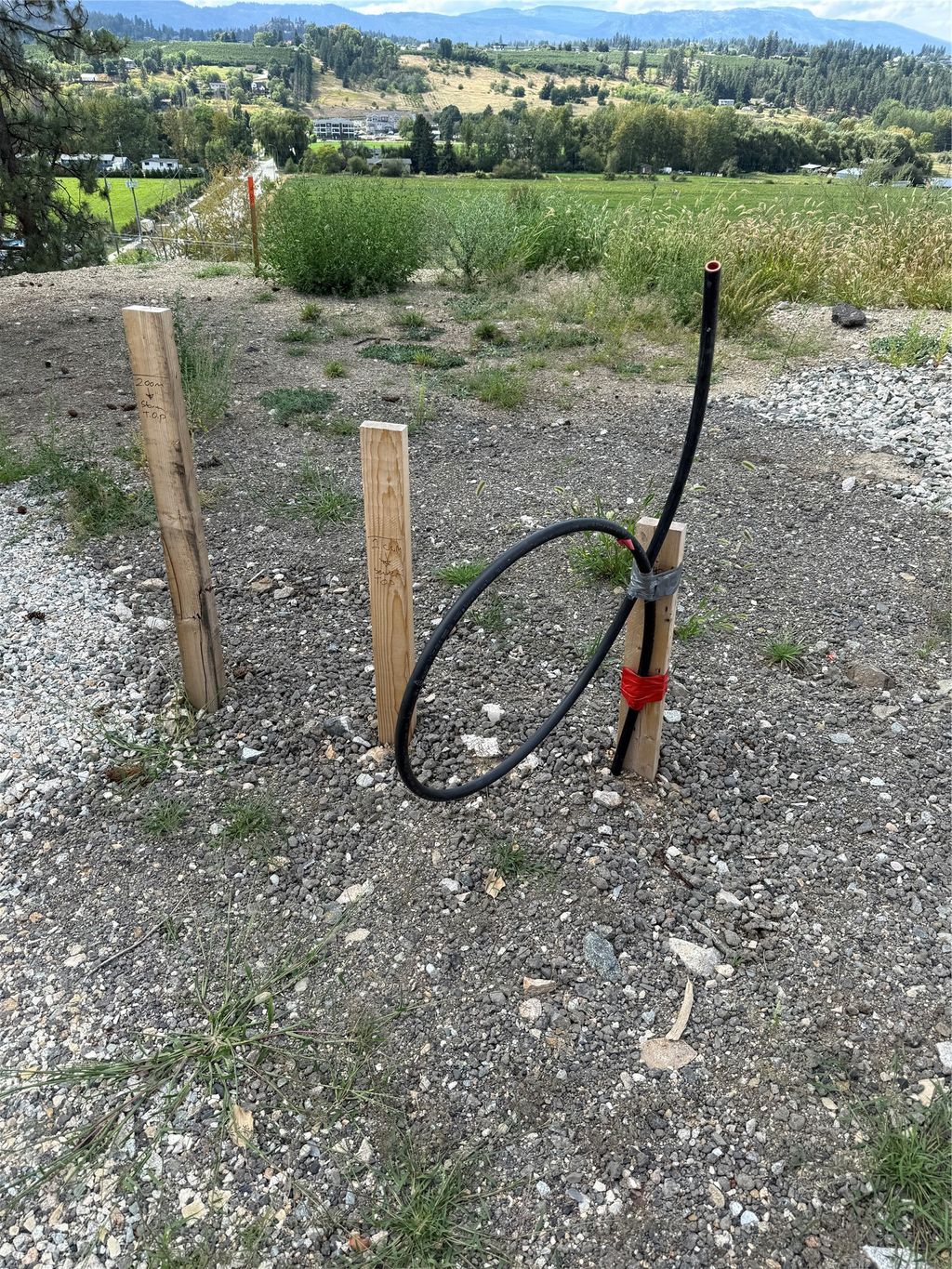 listing image 16518912793891609426