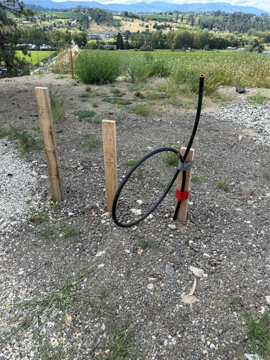 listing image 16518912793891609426