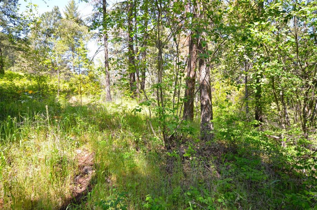 listing image 16512611636845381555