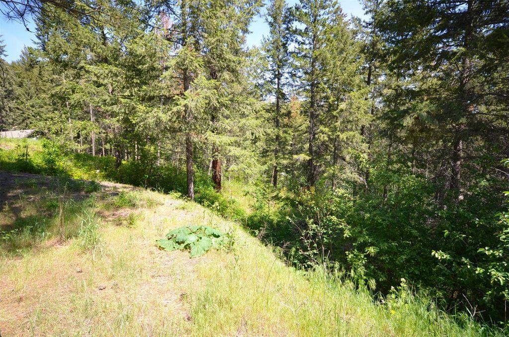listing image 16513852967535776335
