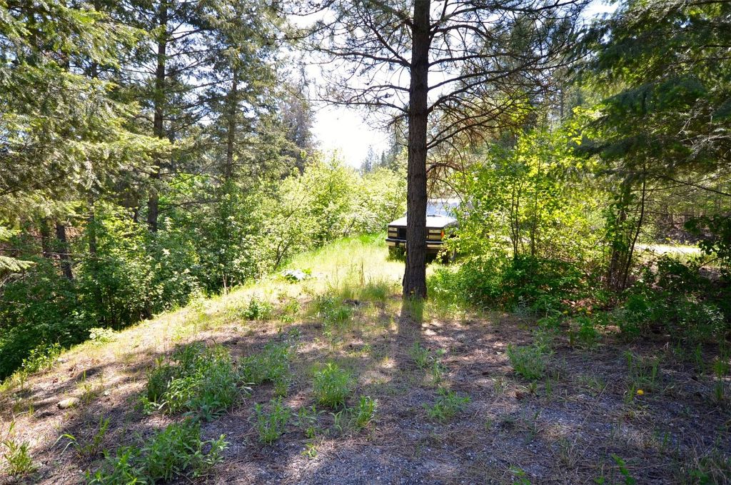 listing image 16517756493819090185