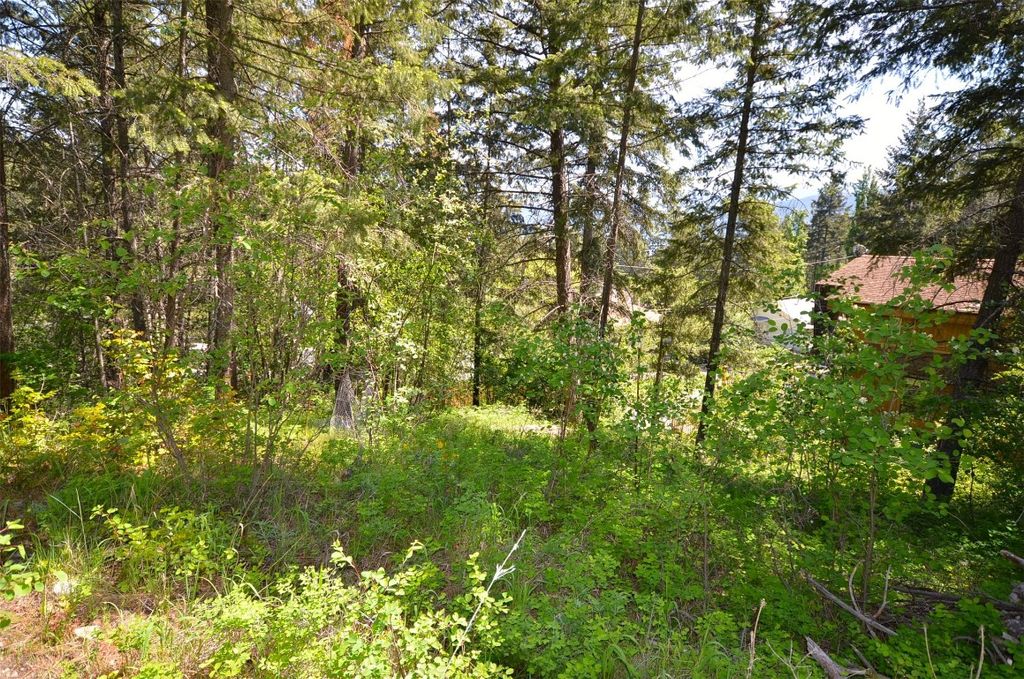 listing image 16517097721121162147
