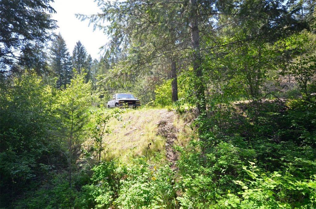 listing image 16513071151845552133