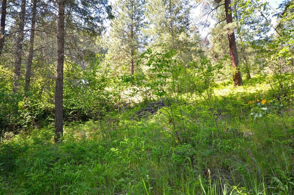 listing image 16513206368002063910