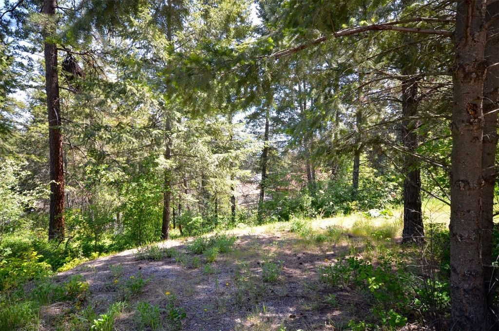 listing image 16518002854144827647