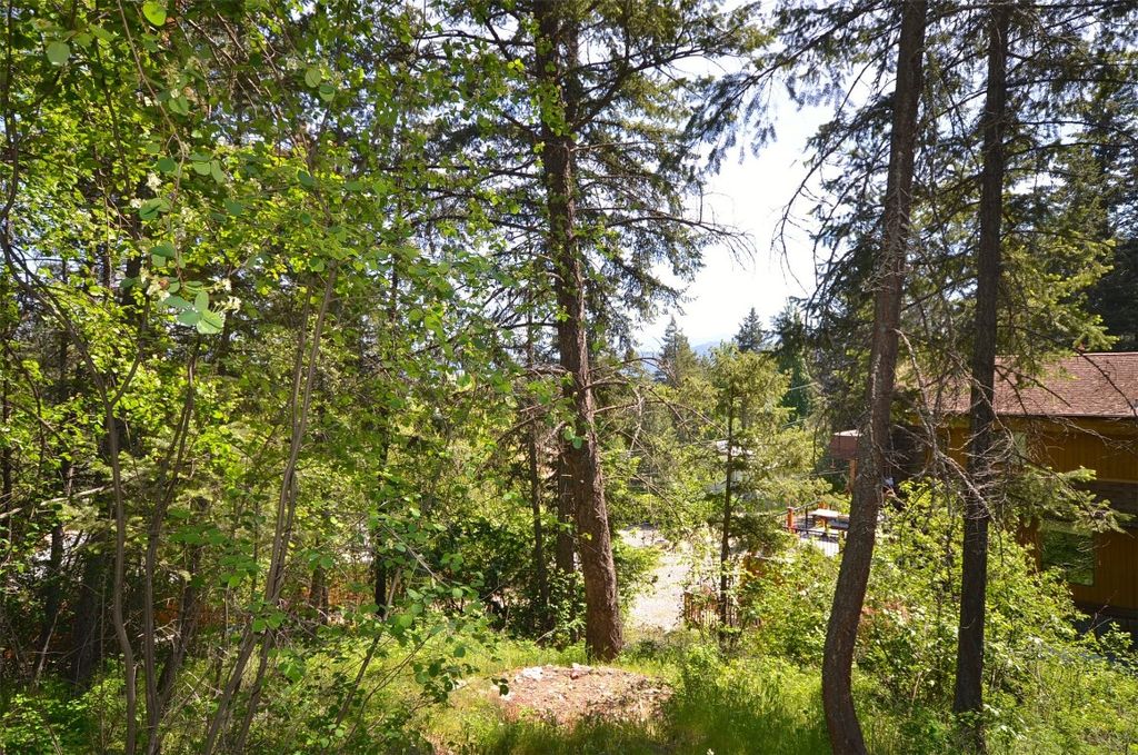 listing image 16513003245058400142