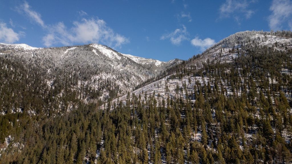 listing image 16515753238568816312