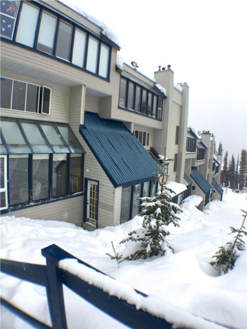 listing image 16512869455512406784