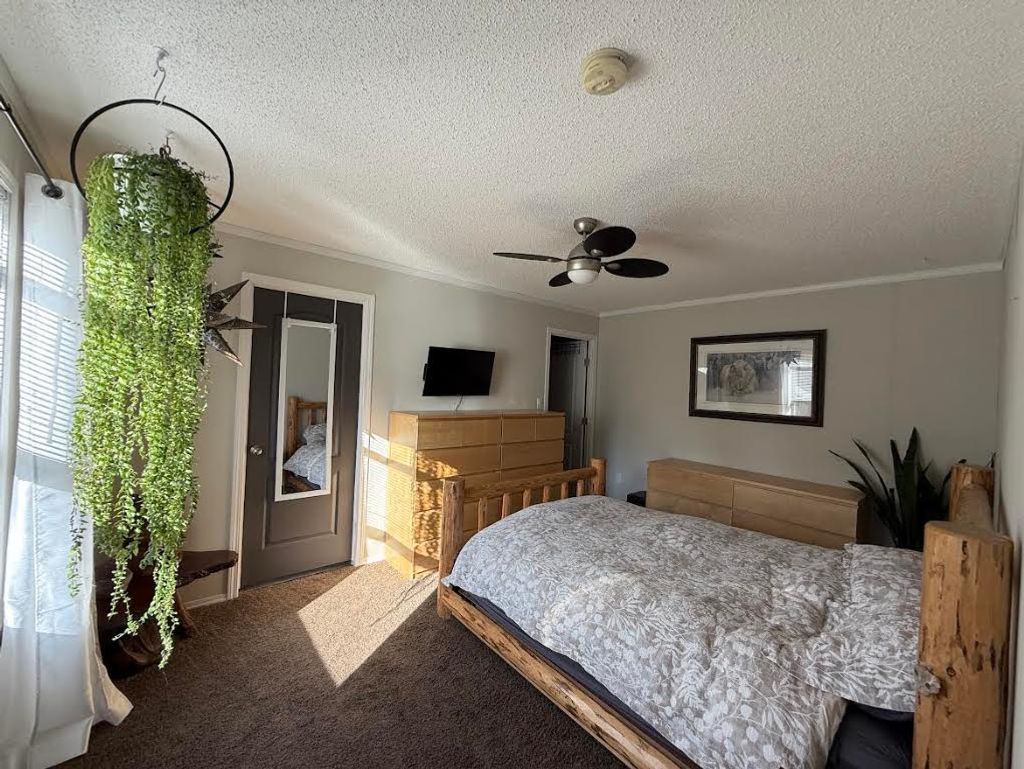 listing image 16512853483323952032