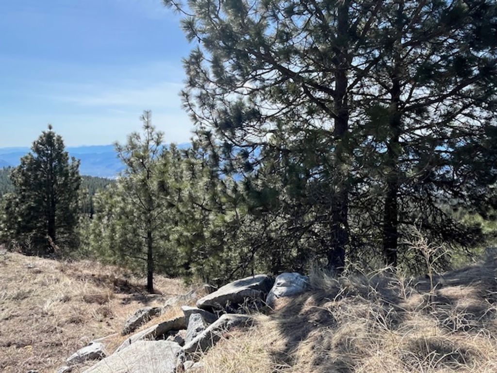 listing image 16512336928723869179