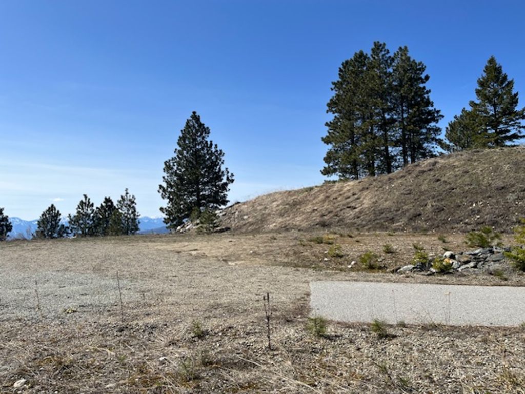 listing image 16510594134971952696