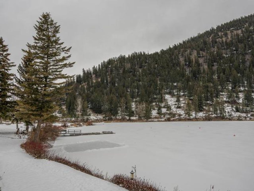 listing image 16510653163171866074
