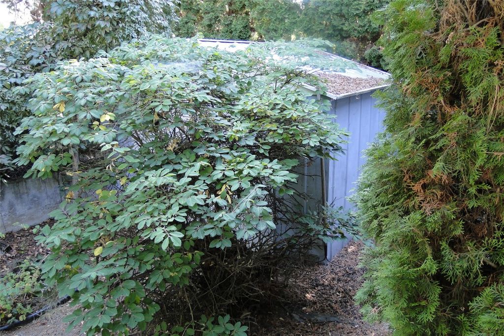 listing image 16517648951294739979