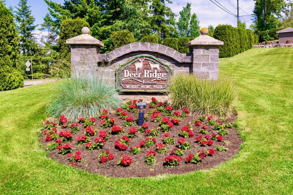 listing image 16516385213112027984