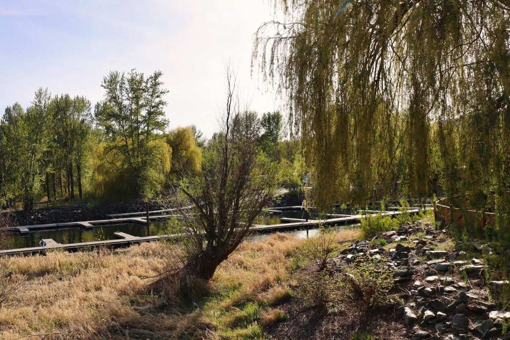 listing image 16518489385442153734
