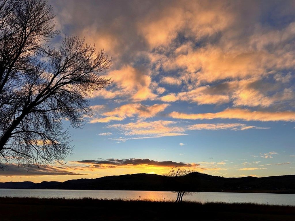 listing image 16519988959002319536