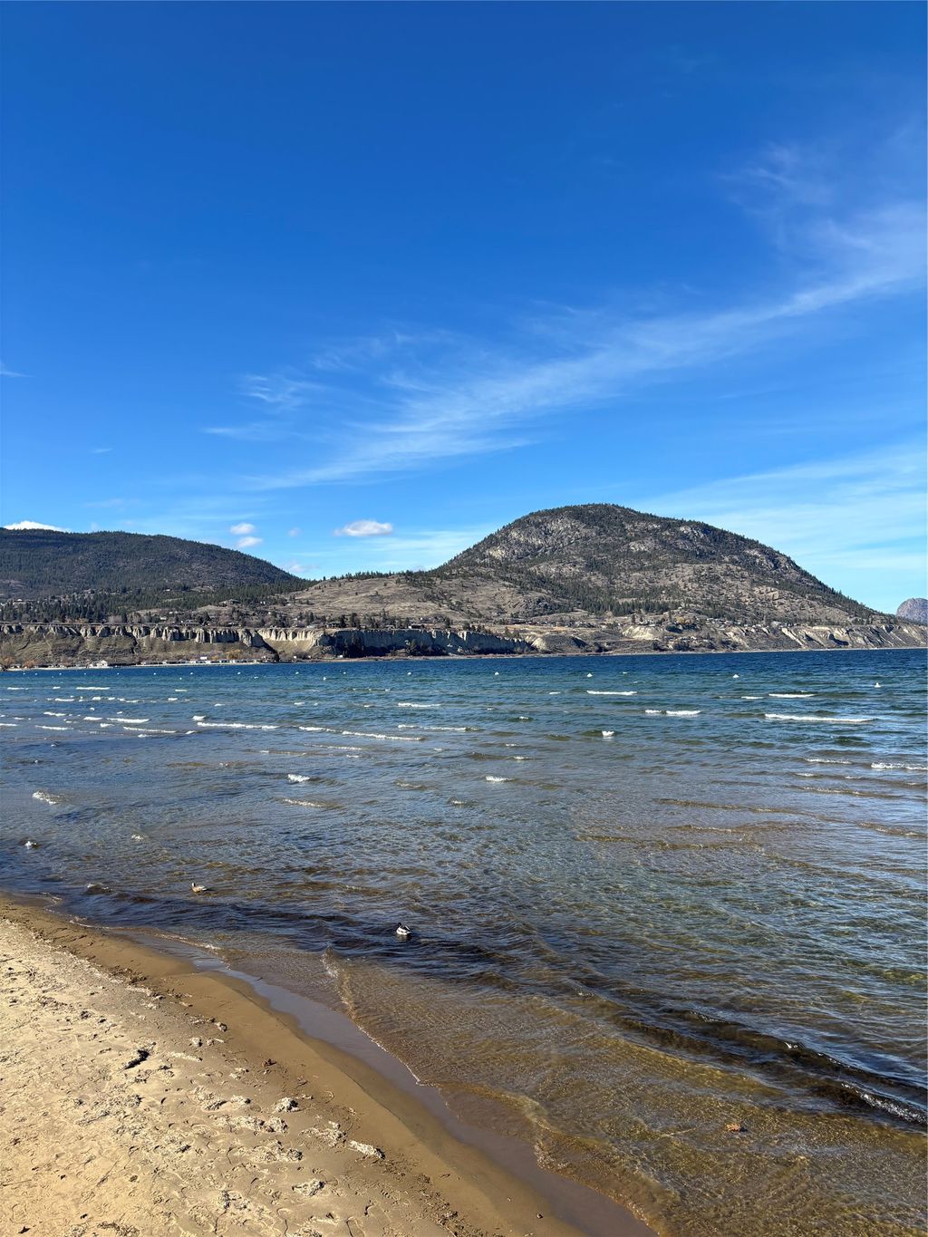 listing image 16514204886500099751