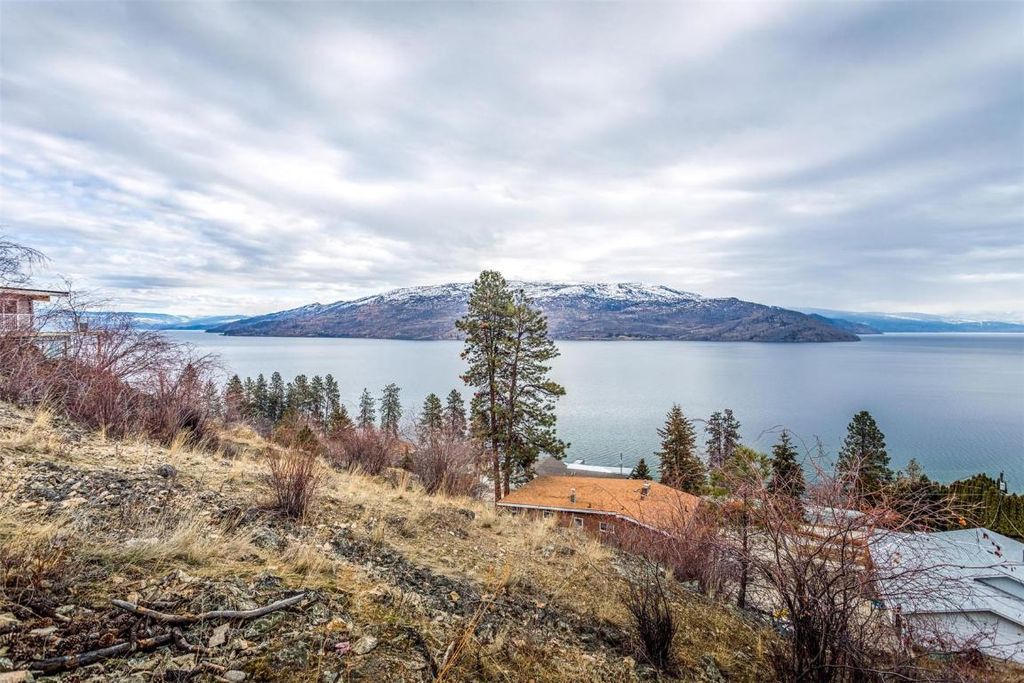 listing image 16510240367324544969