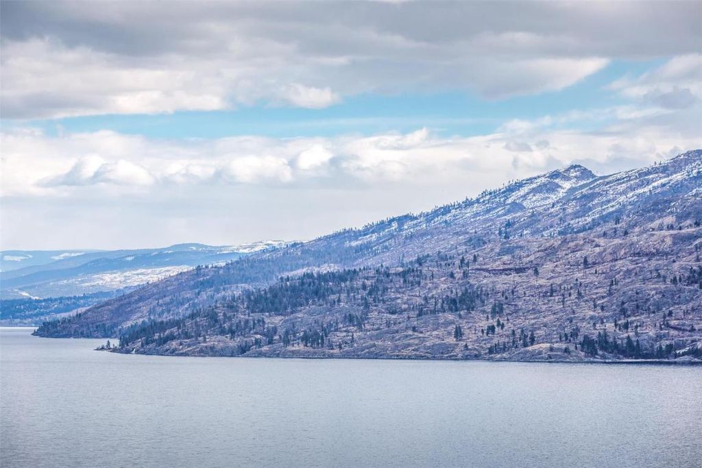 listing image 16518658138935628128