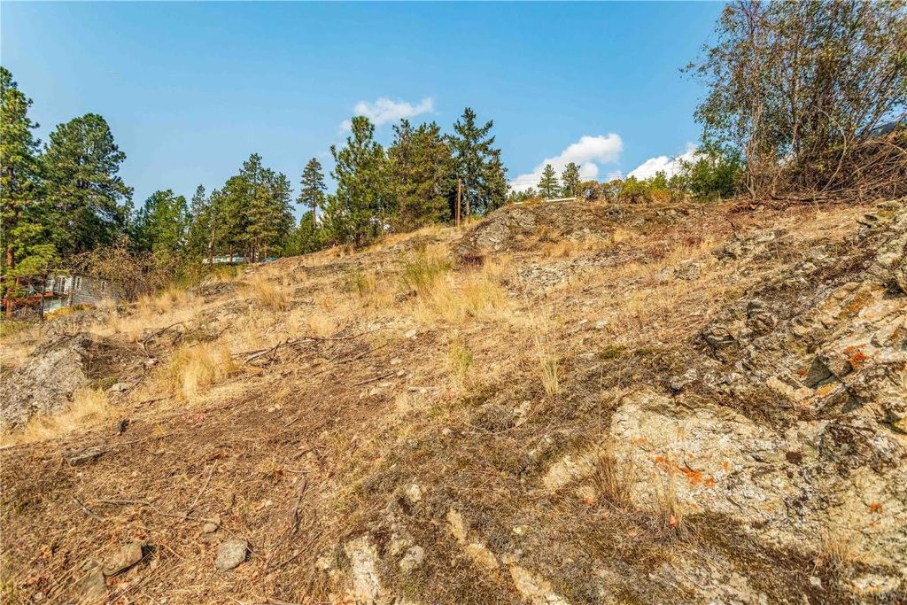 listing image 16519041402526745094