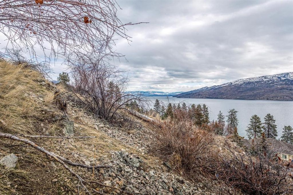 listing image 16510988415410230872