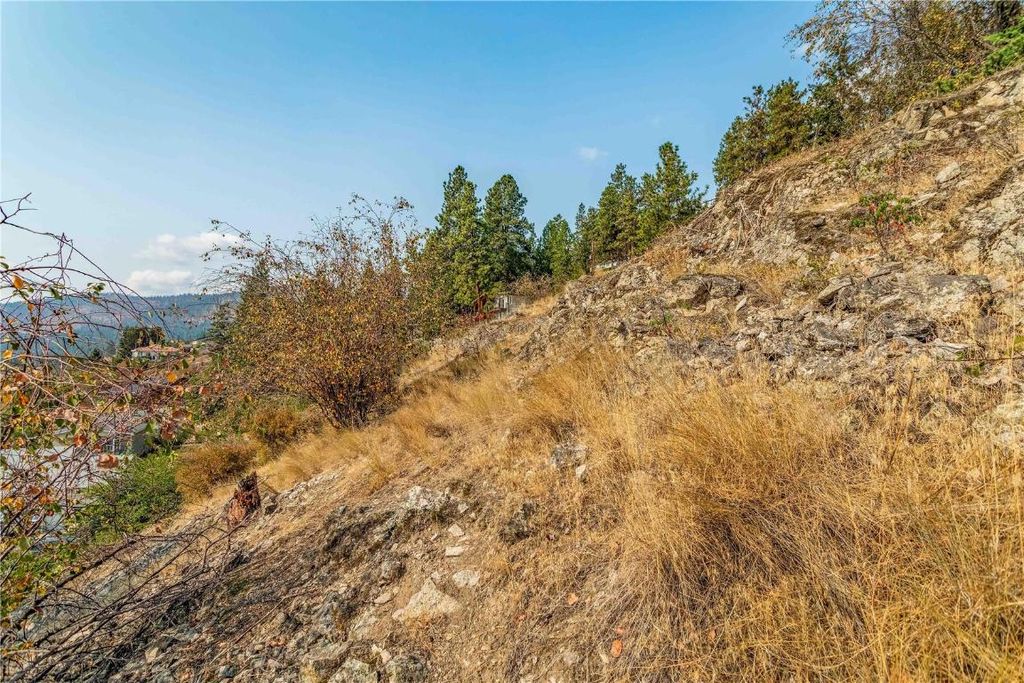 listing image 16515216994844345570