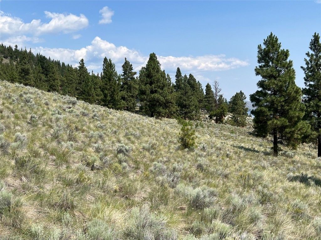 listing image 16515621782091376869