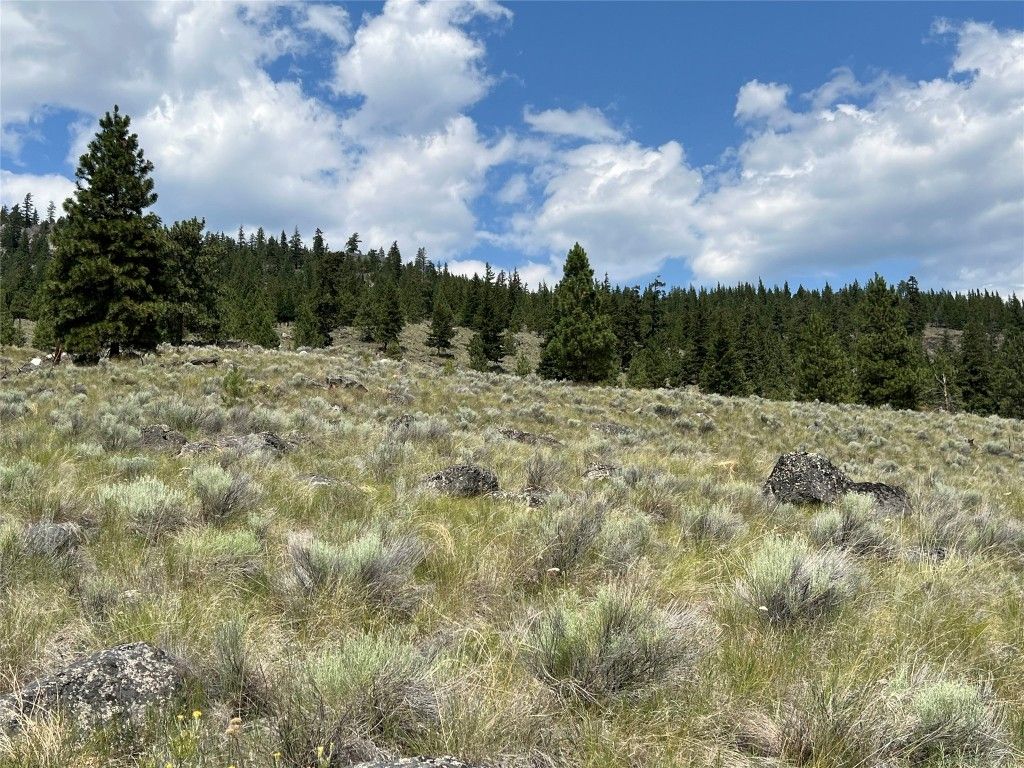 listing image 16512079907727835105