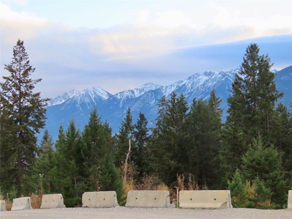 listing image 16518903653552860525