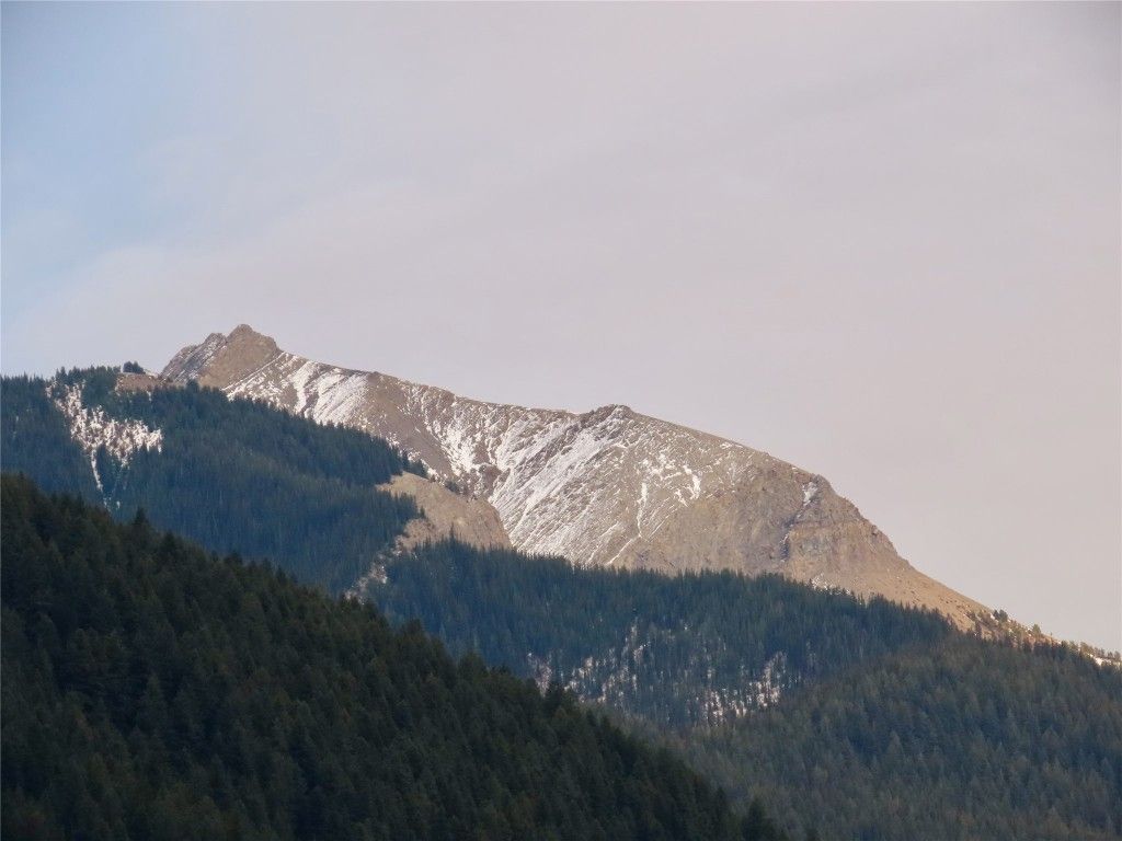 listing image 16518940226993134680