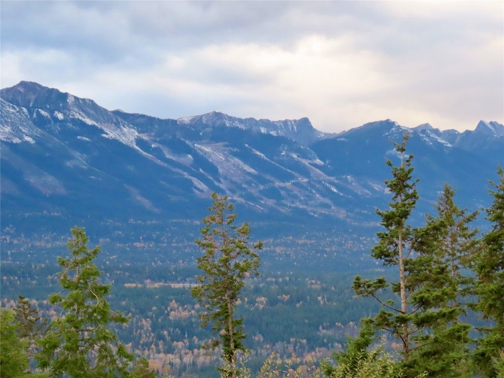 listing image 16513572209469743223