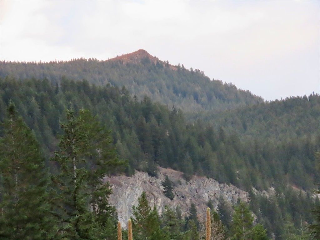 listing image 16510522780209369065