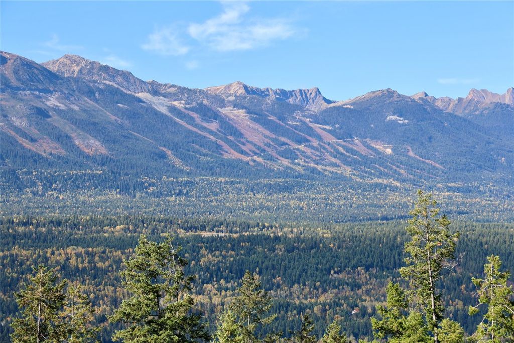 listing image 16512968050140460631