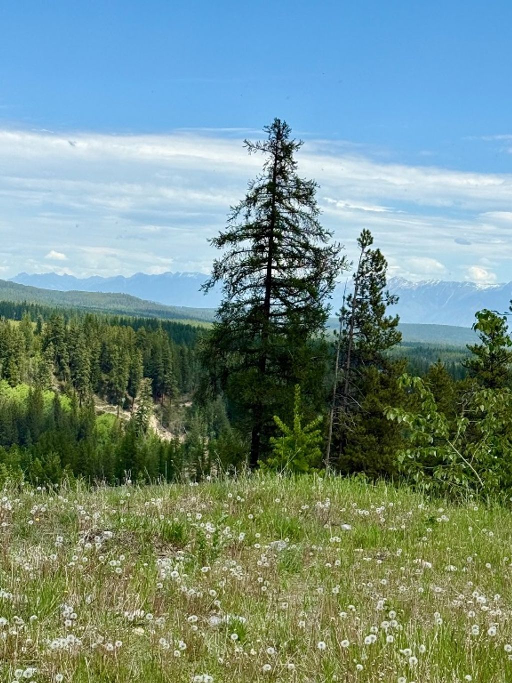 listing image 16517811973296662893