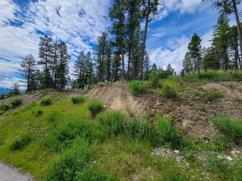 listing image 16510865077901522815