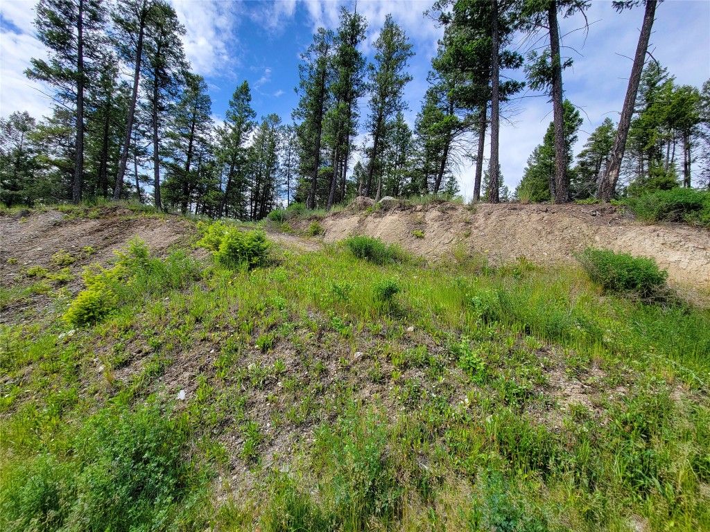 listing image 16517606774466267841
