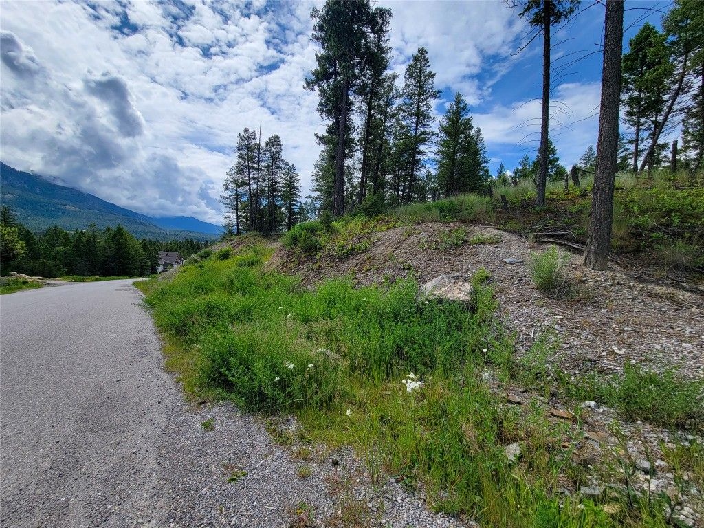 listing image 16512746188348724445
