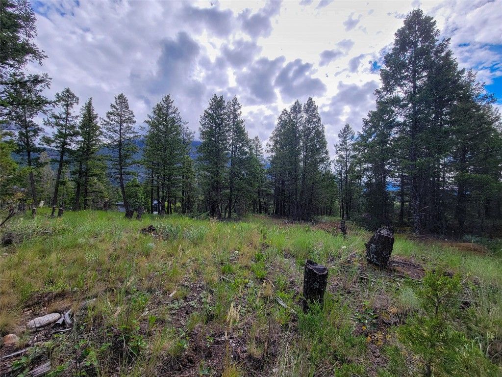 listing image 16512680049630790716
