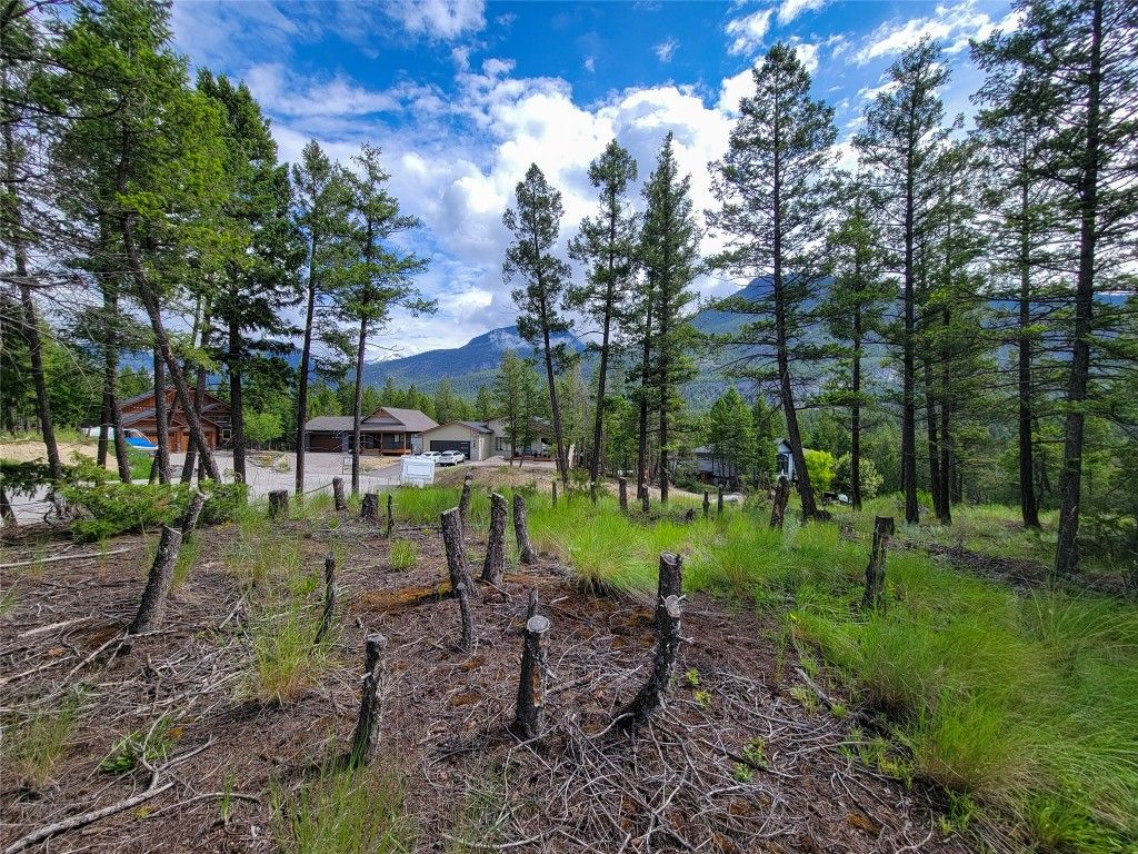 listing image 16515396069611056118