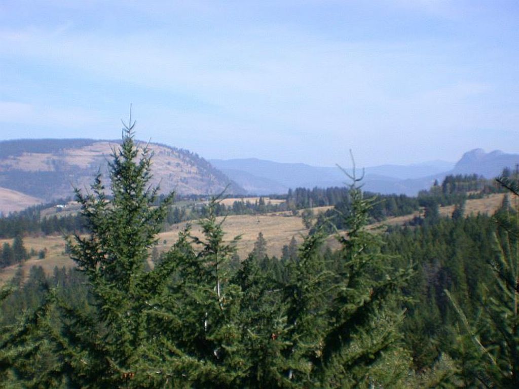 listing image 16518194011134157600