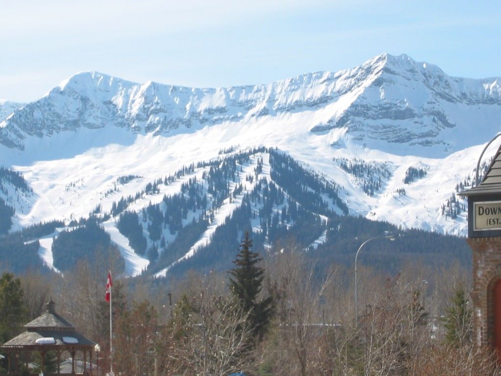 listing image 16513144272174573906