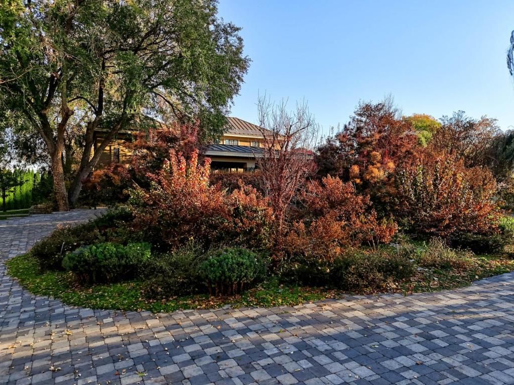 listing image 16510751651227175058