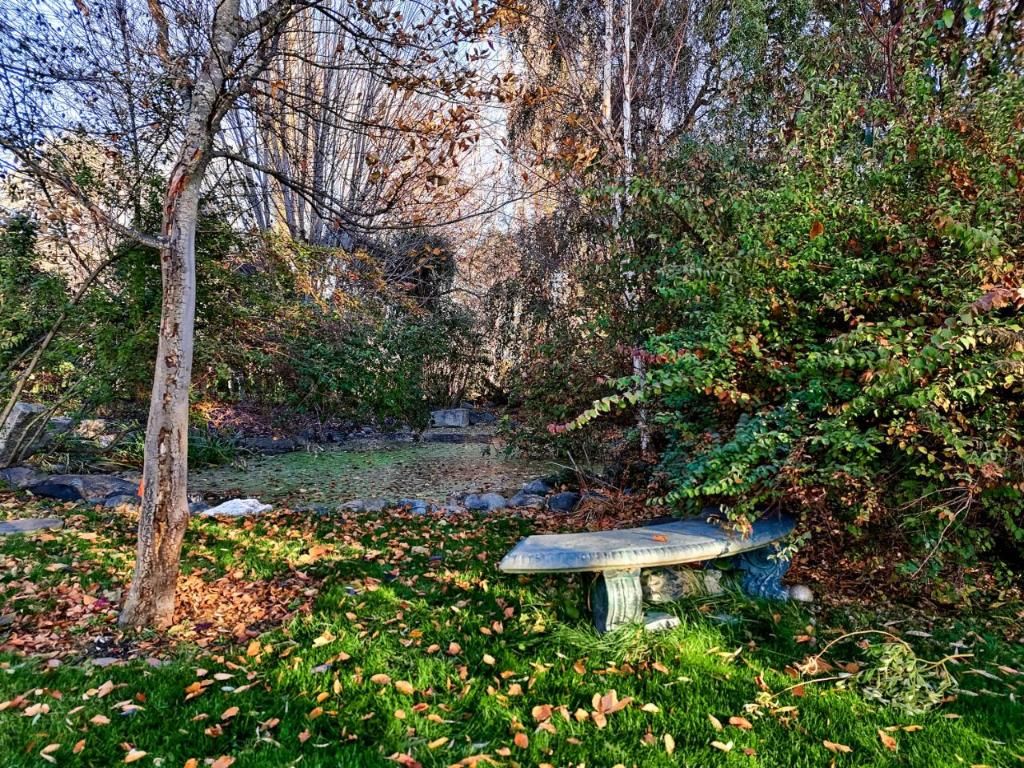 listing image 16515393285919240182