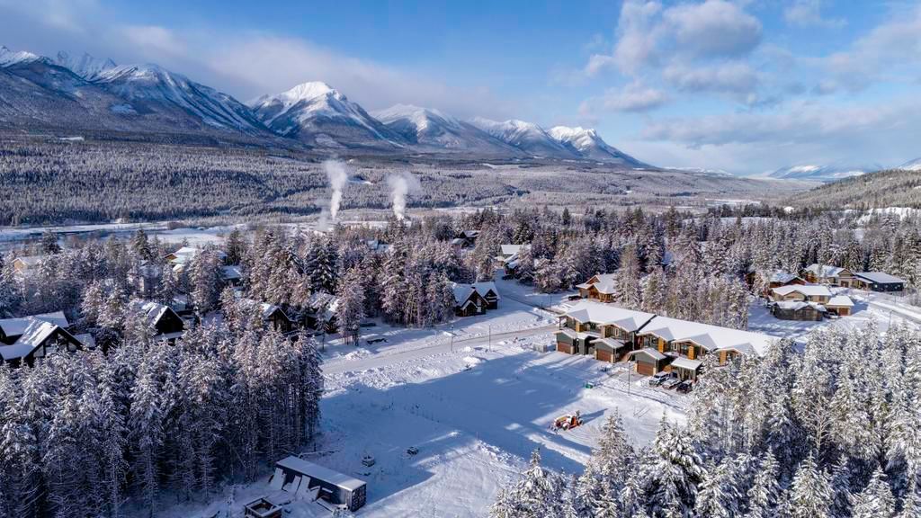 listing image 16510046523114199406