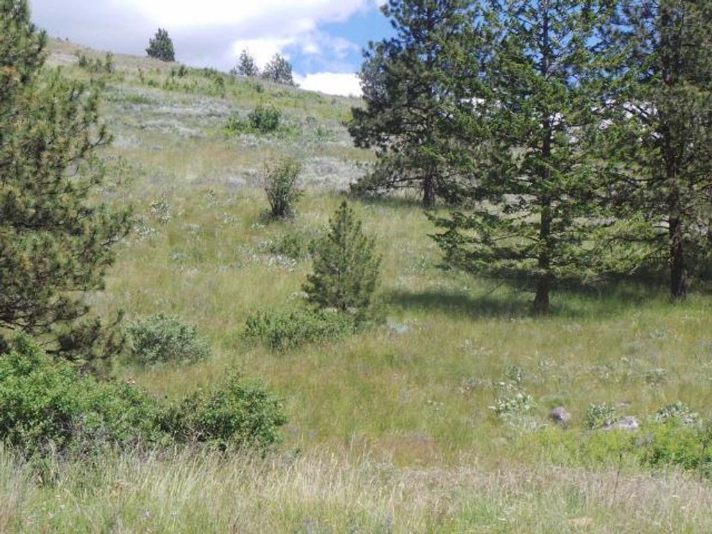 listing image 16511818364196258626