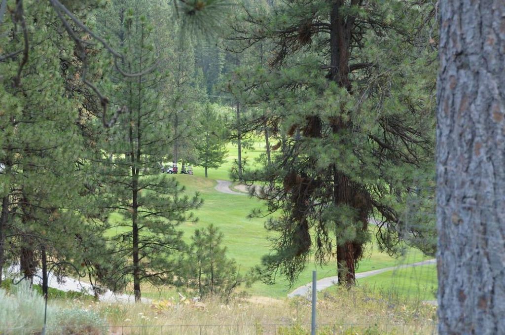 listing image 16514737460094844355