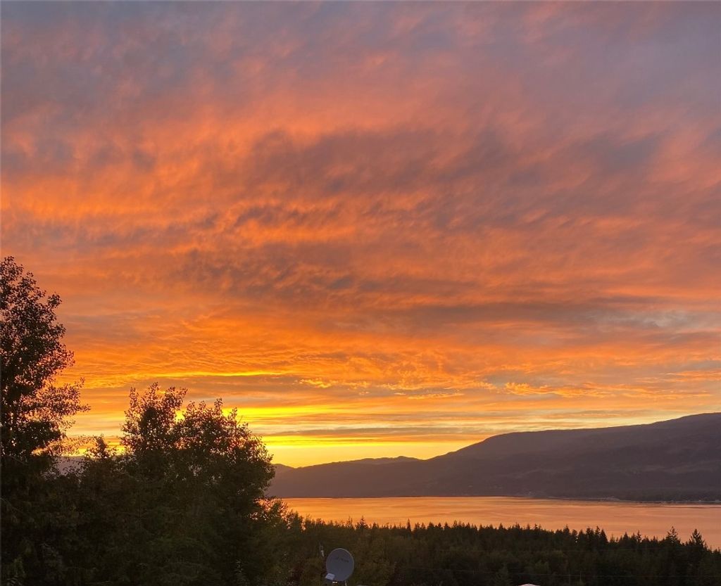 listing image 16512896686469014253